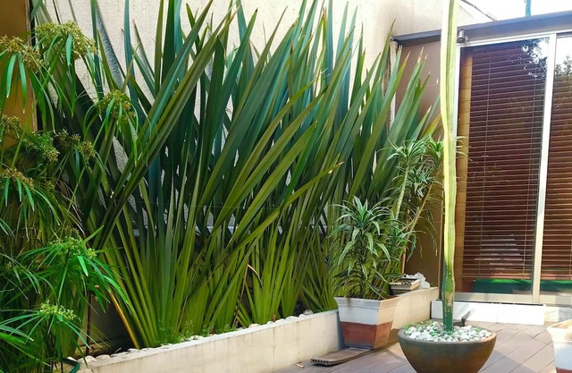 Vrbo Property