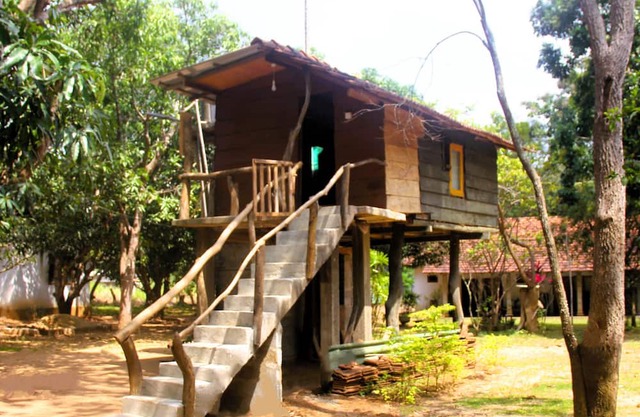Cabin - Eagles Wing's Guest House