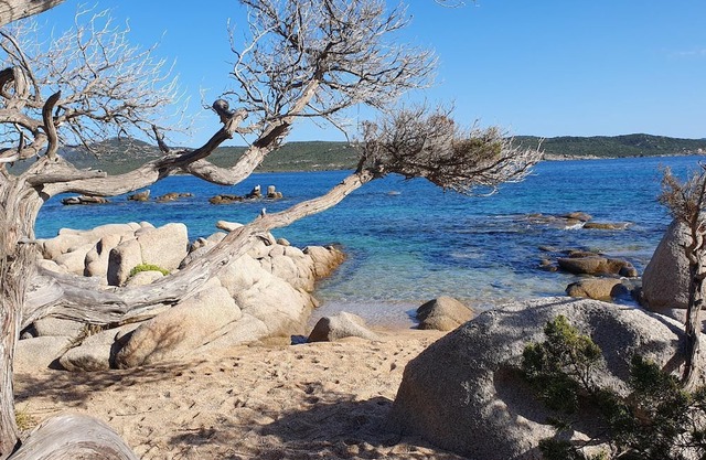 Location Corse du Sud vue mer