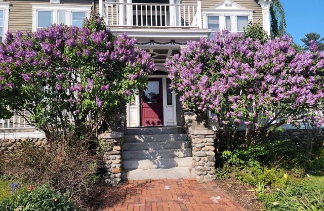 The Morgan Bean StateroomnA cozy condo in the heart of downtown Camden.