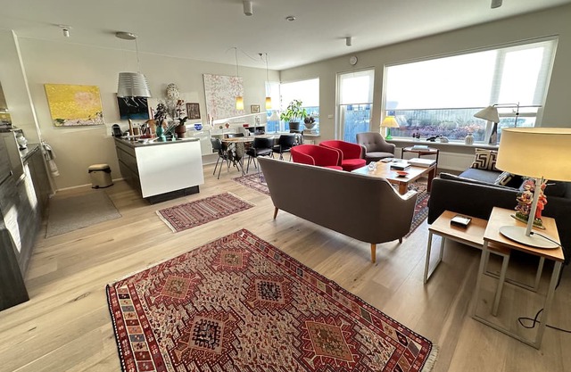 Luxary apartment in the heart of Reykjavik, with private parking.
