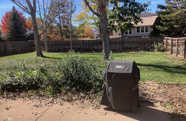 Family/pet-friendly Boulder home in quiet neighborhood w/huge fenced backyard
