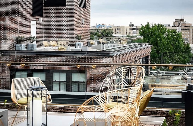 Pet-Friendly Oasis, Arts & Comfort, DC Retreat for All, 4 Relaxing Units!