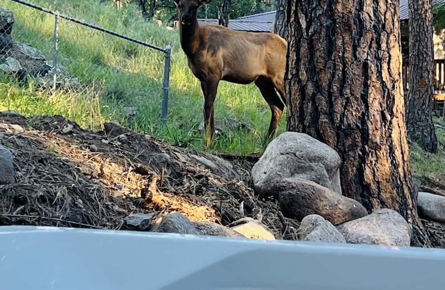 Riverfront with Hot Tub in Mid-Town Ruidoso