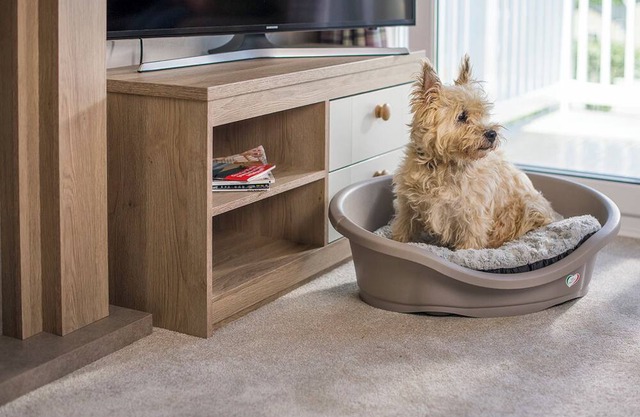 Stylish Comfort 3 (Pet)