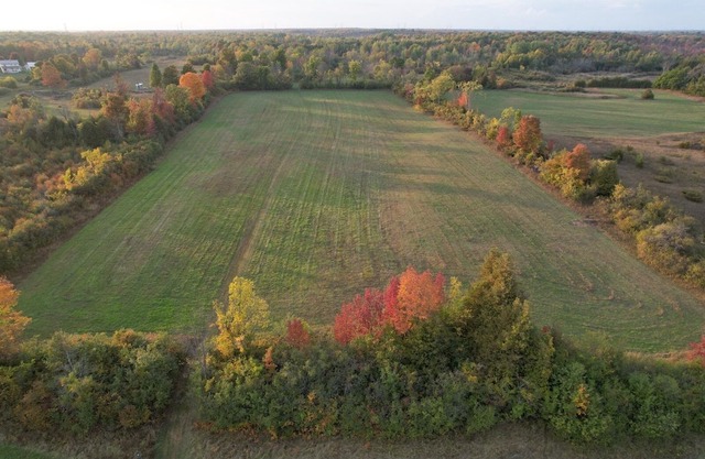 Serene Farmhouse with Trails & Sauna