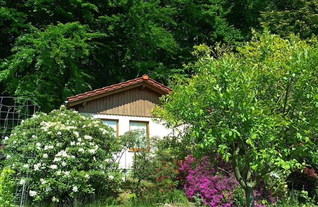 Holiday Home by the Forest with South-Facing View