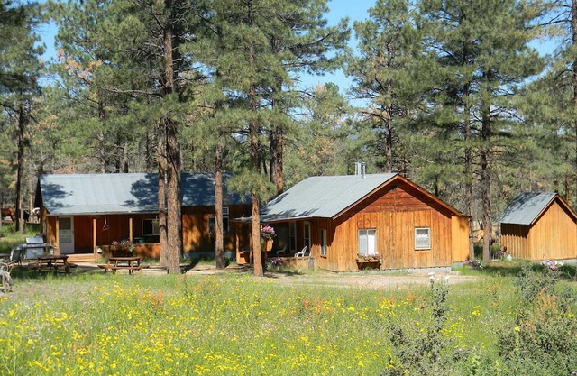 Private Ranch Experience in the Gila National Forest, New Mexico!