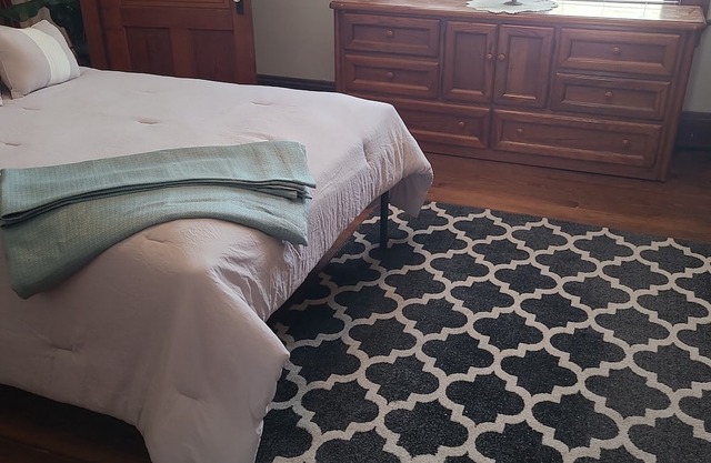 Charming and Cozy 1-bedroom apartment