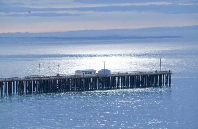 Cozy Suite w/ Breathtaking Ocean Views! Free Parking, Swimming Pool & Gym Access