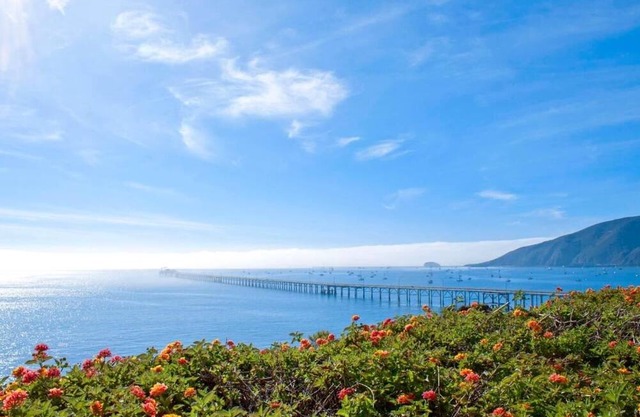 Beach Getaway Near Old Port Beach! 2 Cozy Units w/ Full Kitchen, & Onsite Pool!