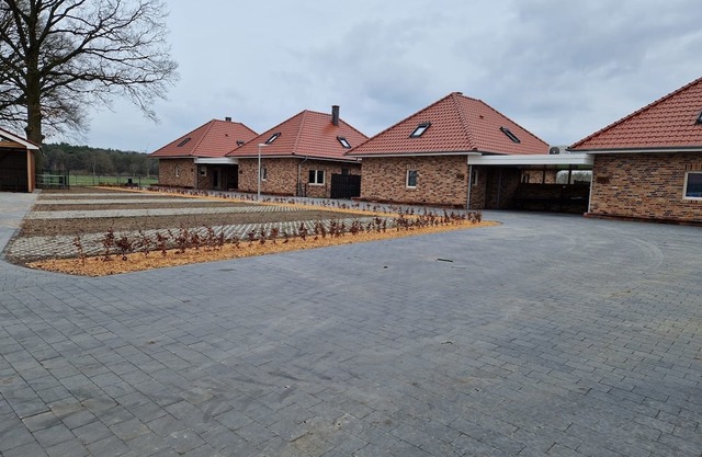 Vacation home for 8 guests with 106m² in Haselünne (267138)