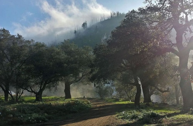 Harrison Serenity Ranch - Groups over 50