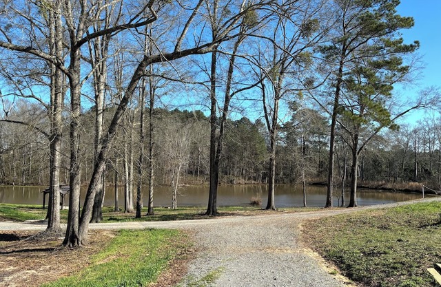 Perfect cabin with a pond! Peaceful place to fish, kayak or enjoy nature.