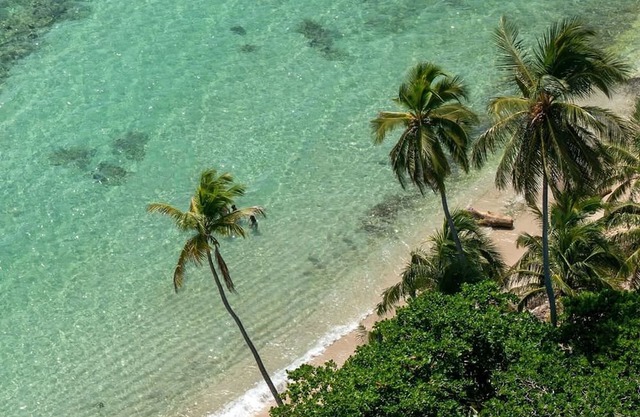Resort Villas 2BR Apt | Pool & Beach Access