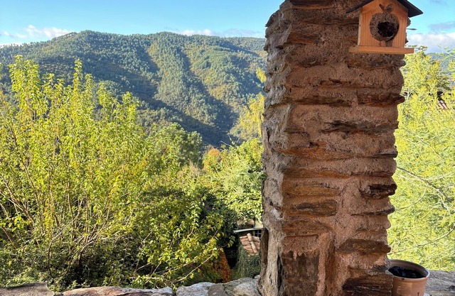 Maison de charme en pierre, avec vue imprenable sur la nature Ardéchoise.