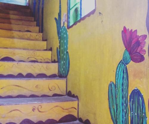 Casa colibri