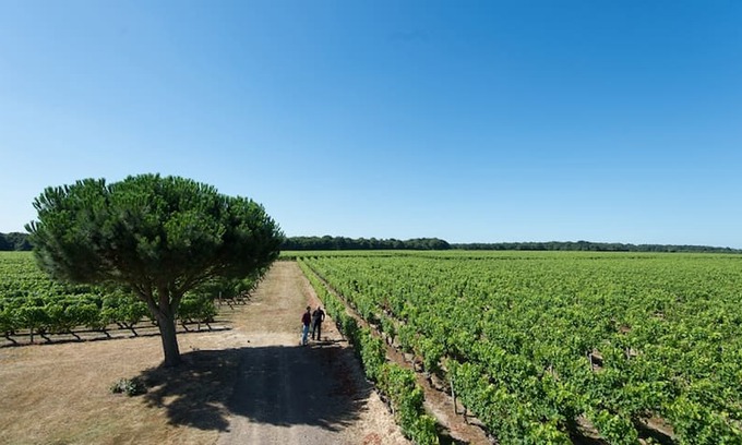 Brissac Loire Aubance Lit Et Petit-Déjeuner | Chambres d'Hôtes au coeur des vignes en Anjou