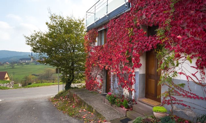 Thannenkirch Appartement | Gîte "Chez Line”