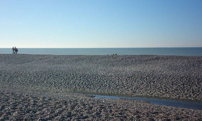 Cayeux-sur-Mer Maison | Entre terre et mer, gîte situé à Brighton les pins