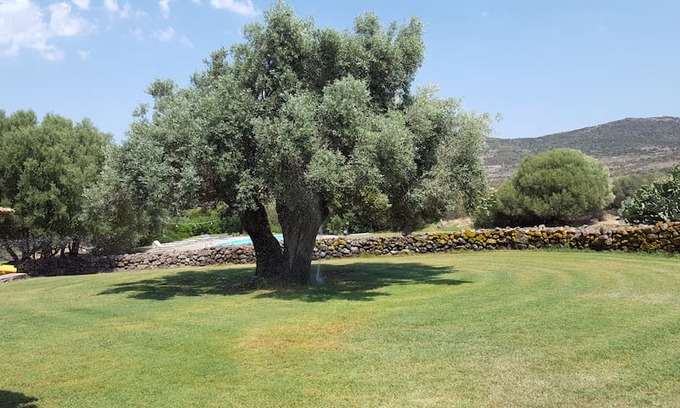 Tratalias Maison | AGRITURISMO MEDAU BECCIU - S'apposentu