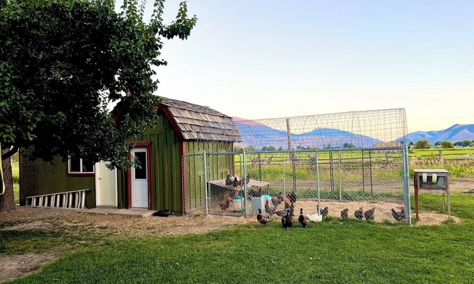 Salmon Maison | Mountain getaway on a private culdesac, 360 views out large windows.