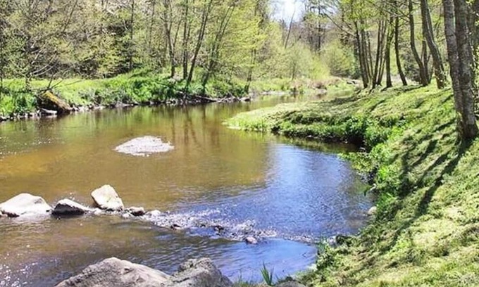 Saint-Paulien Maison | Camping Flower La Rochelambert **** - Mobile home Premium Côté Piscine 3 rooms 4 people