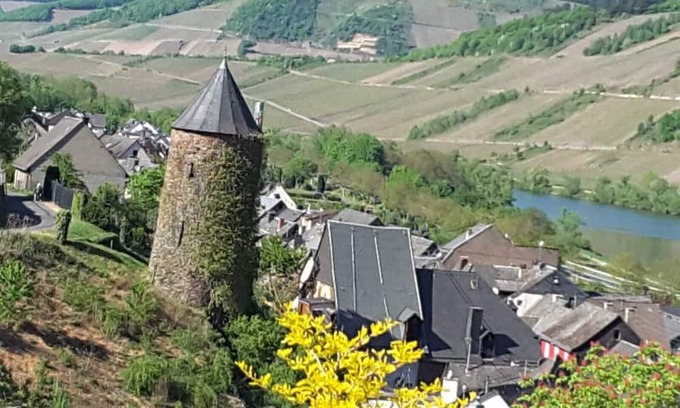 Briedel Appartement | Cozy apartment near Zell a d Mosel in Briedel. Dog friendly
