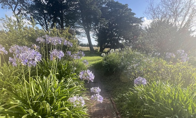 Limonite Maison | Diggers rest farm house and event hire property
