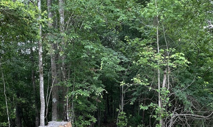 Jasper Cabine | Cozy cabin located on the Angelina River and minutes away from lake Sam Rayburn.