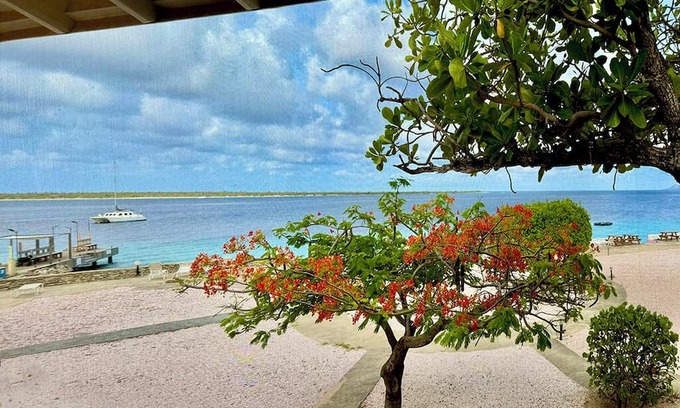 Kralendijk Copropriété | Stunning Oceanfront 2-Bed, High End Remodel, Luxury Furnishings, Sand Dollar A6