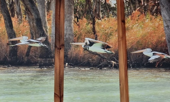 Murbko Maison | Rivergums Homestead - River Frontage! nWith ski beach and board walk.
