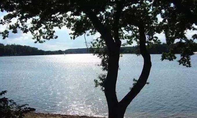 Vosges Location De VR | Domaine les Nids du Lac* - POD 2 Rooms 2 People with private Jacuzzi