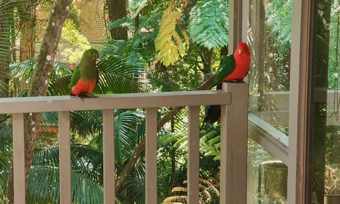 Killara Maison | Natures Retreat Getaway your ideal staycation retreat