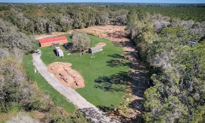 Spring Hill Maison | 🐓Your cozy RV PARK retreat! Nature, play & chickens - who could ask for more?!