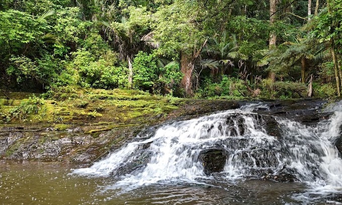 Warkworth Cabine | Hot Tub overlooking a waterfall, near beaches, vineyards, Matakana, Brick Bay