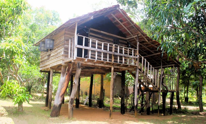 Habarana Cabine | Cabin 2 Twin Beds - Eagles Wing's Guest House