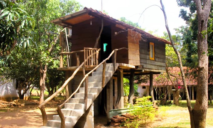 Habarana Cabine | Cabin - Eagles Wing's Guest House