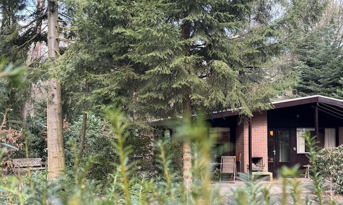 Giethmen Maison | Boshuisje met Open Haard