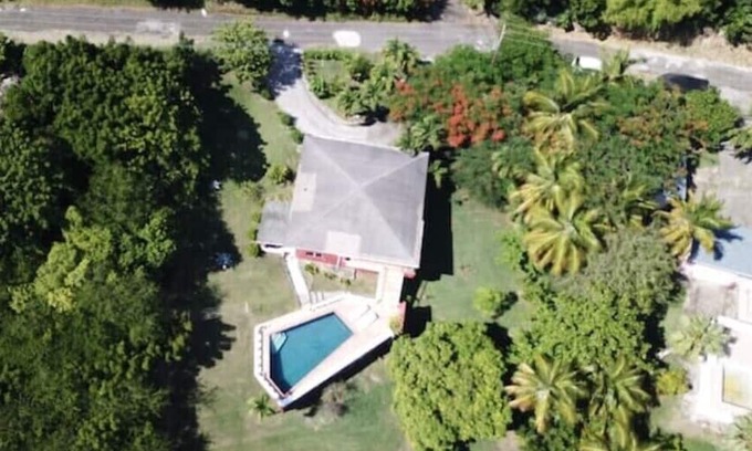 Old Towne Maison | Bananaquit at the beach!