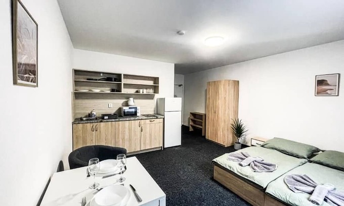 Plzen 3 Appartement | Apartmány Zborovská