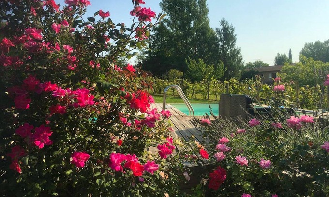 Montgaillard Villa | Homerez - Big villa for 10 ppl. with swimming-pool and terrace at Montgaillard