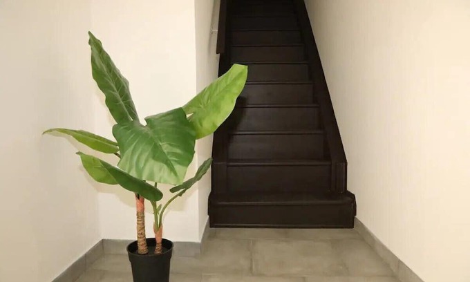 Chasse-sur-Rhone Appartement | Suite Cosy, Ô Bon Temps