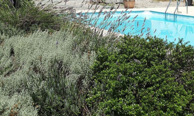 Pessines Maison | Charantaise Avec Piscine et Parc, 7 Minutes de Saintes, 25 Minutes de Royan