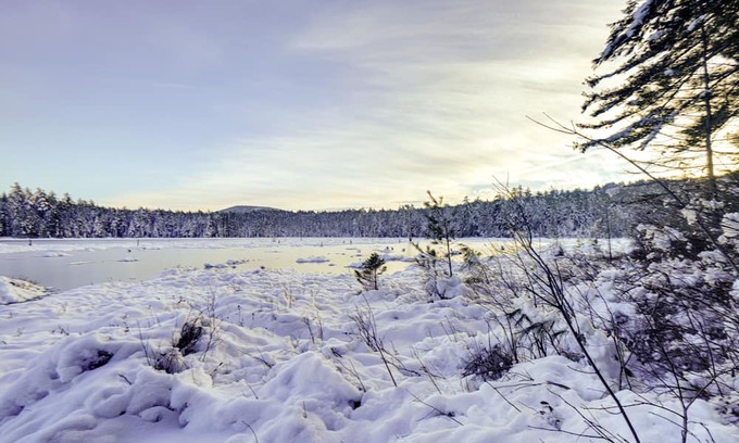 Conway Copropriété | Cozy Conway Retreat Near Skiing + Hiking Trails!