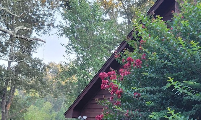 Chewalla Maison | Country Tri-Level Home in Selmer TN -2000 sqft