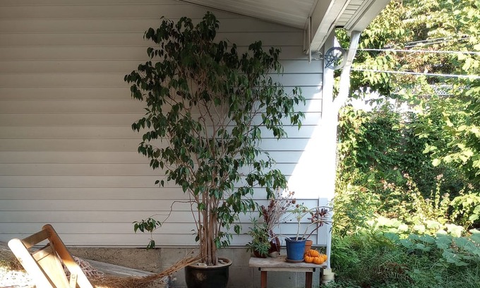 Nelsonville Maison | Village Home: West Point Graduation, Summer 2024. Hiking, Main St. Hudson River