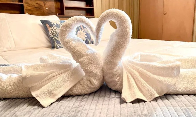 Elmhurst Maison | NEW - 5 mins from Elmhurst Uni - Elmhurst Hospital - Pet Friendly