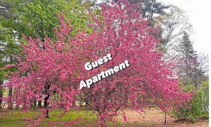 Westfield Appartement | Guest Apartment: 1bd/1ba/Full Kitchen/100% Private
