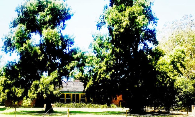 Tocumwal Autre | Idyllic, farming property, hidden amongst towering gumtrees and golden pastures.